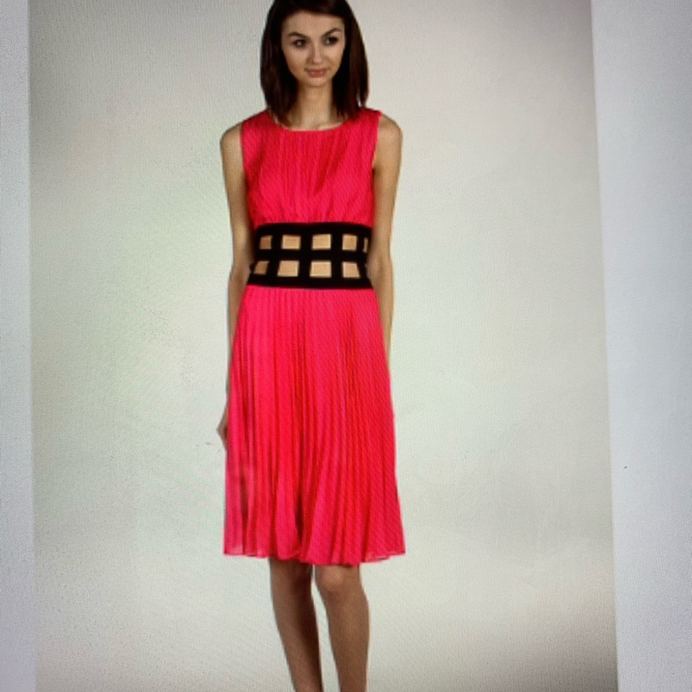 BCBGMAXAZRIA Gisele pleated hot pink dress